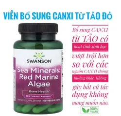 Viên Uống Bổ Sung Canxi Thuần Chay Từ Tảo Biển Đỏ Swanson 60 Viên - Hỗ Trợ Xương Khớp, Dinh Dưỡng Tự Nhiên cho Người Ăn Chay