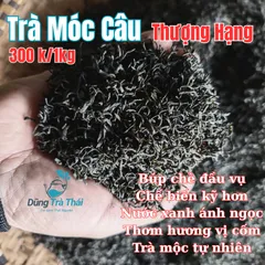 Trà Xanh Móc Câu Thượng Hạng DTT - Hương Cốm Đậm, Vị Ngọt Sâu, Cánh Đẹp - Thức Uống Đặc Sản (300K/kg)