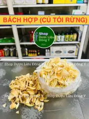 Bách Hợp (Củ Tỏi Rừng) Khô Loại 1 - Hạt Dinh Dưỡng Ngon, Giàu Vitamin Cho Sức Khỏe Tinh Thần và Cơ Thể