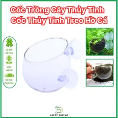 Cốc Thủy Tinh Trồng Cây - Cốc Treo Hồ Cá Thủy Sinh Sang Trọng, Thích Hợp Trồng Cây Ráy và Trầu 09