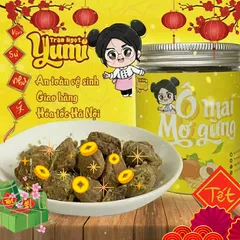 Ô Mai Mơ Gừng Yumi – Snack Xí Muội Chua Mặn Ngọt Thơm Ngon, Dưỡng Họng, Hàng Tiêu Dùng Việt Nam