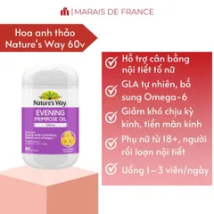 Viên Nang Mềm Nature’s Way Evening Primrose Oil 1000mg - Tinh Dầu Hoa Anh Thảo, Bổ Sung Omega-6 & GLA Cho Phụ Nữ Chăm Sóc Sức Khỏe Và Làn Da
