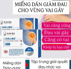 Hộp 4 Miếng Dán Thảo mộc Giảm Đau Xương Khớp Vai GáyMiếng Dán Xua Tan Đau Nhức, Mệt Mỏi Cho Vai Gáy