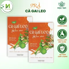 Trà Cà Gai Leo Túi Lọc Mộc Tâm- Hỗ Trợ Giải Độc, Thanh Nhiệt, Mát Gan, Cải Thiện Tiêu Hóa- Đẹp Da ( Hộp 30 túi x 3g)