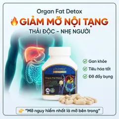 Viên Uống Giảm Mỡ Nội Tạng Vitatree Organ Fat Detox hỗ trợ tiêu hóa hỗ trợ chuyển hóa hộp 60 viên