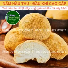 Nấm Hầu Thủ Sấy Khô 100gram - Nấm Đầu Khỉ Tự Nhiên Hỗ Trợ Tăng Cường Sức Khỏe và Giảm Stress