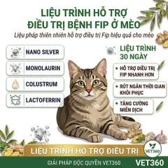 Giải Pháp Hỗ Trợ Mèo Bị FIP - VET360 - Điều Trị Viêm Phúc Mạc Mèo Giá Rẻ, An Toàn và Hiệu Quả