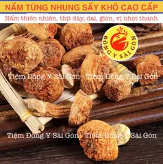 Nấm Tùng Nhung 100gram HÀNG TỰ NHIÊN (Nấm quý nấu canh dưỡng sinh, lẩu nấm, phục hồi sức khỏe)