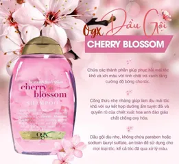 Dầu gội Biotin Cherry Blossom 385ml – làm sạch da đầu, hỗ trợ dưỡng tóc mềm mượt