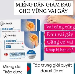 [COMBO 2 HỘP] Miếng dán  Dùng ngoài da  Cho Vai Gáy