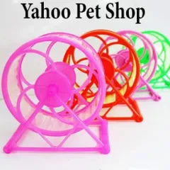 01 cái wheel nhựa chạy tập thể dục cho chuột hamster