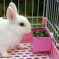 Chén ăn vuông gắn lồng cho thú cưng