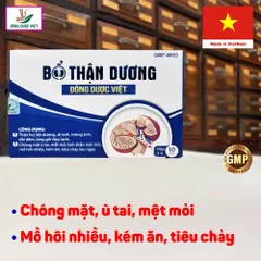 Bổ Thận Dương Đông Dược Việt - Thận hư, ù tai, tiêu chảy, lưng gối đau lạnh, tiểu không tự chủ