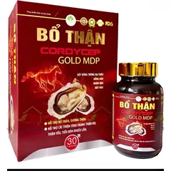 bổ thận cordycep gold MDP , hỗ trợ giảm đau lưng mỏi gối tiểu đêm