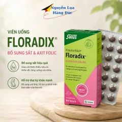Viên sắt Floradix bổ máu thành phần thảo giúp dễ tiêu hóa, bổ sung vitaminB2, B6, B12