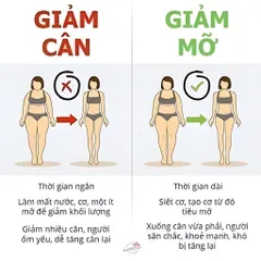 Trà giảm cân Minci concept thành phần tự nhiên giảm hấp thụ chất béo, giải phóng năng lượng thừa trên cơ thể, hộp 30 gói