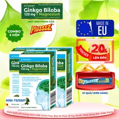 Viên Uống Bổ Não Vitaday Ginkgo Biloba 120mg + Magnesium - Hỗ Trợ Tăng Cường Trí Nhớ và Giảm Căng Thẳng (Combo 3 Hộp x 30 Viên)