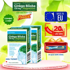 Viên Uống Bổ Não Vitaday Ginkgo Biloba 120mg + Magnesium - Combo 2 Hộp 30 Viên Hỗ Trợ Trí Nhớ và Giảm Căng Thẳng