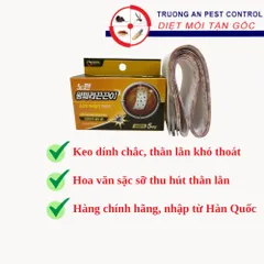 Bẫy thạch sùng DAEGIL, đơn giản, hiệu quả, thân thiện môi trường, nhập trực tiếp từ Hàn Quốc
