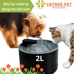 Máy Lọc Nước Pet Water Tự Động Cho Chó Mèo Kèm Lõi Lọc Than Hoạt Tính An Toàn, Dung Tích 2L