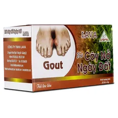 Trà Nở Ngày Đất (hộp 30 túi lọc)– Gút, Acid Uric Cao