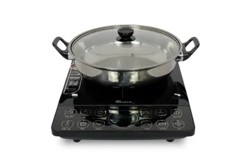 BẾP ĐIỆN TỪ ĐƠN SOWUN SW 163S