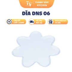 DĨA DNS 06 (TV1595)