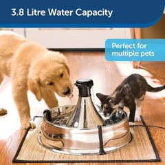 [ XẢ KHO THU HỒI VỐN ] Máy uống  nước cho CHÓ MÈO PetSafe Adjustable 360 Stainless Steel Pet Fountain MỸ