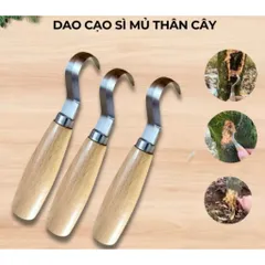 dụng cụ cạo ,nạo sỉ mủ thân cây sầu riêng và cây ăn trái