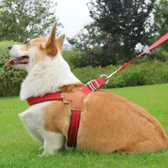 (CÓ SIZE LỚN) Dây dắt STRONGE phản quang cao cấp da lộn - Dây dắt cho chó mèo, thú cưng - Ziềng iu Petshop