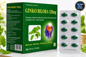TPBVSK GINKO BILOBA 120mg HỖ TRỢ TĂNG CƯỜNG LƯU THÔNG MÁU