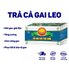 TRÀ CÀ GAI LEO TUỆ LINH (Hộp 25 túi lọc) Giúp bảo vệ, phục hồi tế bào gan, tăng cường chức năng giải độc gan, hạ men gan