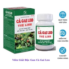 Viên uống Cà Gai Leo Tuệ Linh (Chai 60 viên) Hỗ trợ tăng cường chức năng gan, ngừa xơ gan, giải độc gan giúp bảo vệ gan.
