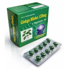 Viên uống bổ não Ginkgo Biloba 120mg (Hộp 100 viên) Hỗ trợ cải thiện trí nhớ và giảm đau đầu, chóng mặt, hoa mắt, mất ngủ