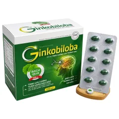 Viên uống Ginkobiloba Vinaphar (Hộp 100 viên) Hỗ trợ tăng cường lưu thông máu não giúp giảm đau đầu, hoa mắt, chóng mặt