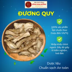 Đương Quy Thái Lát Nhập Khẩu Chính Ngạch | Đầy Đủ Kiểm Nghiệm CO CQ COA | Pha Trà Dưỡng Sinh Thơm Dịu Dùng Hằng Ngày