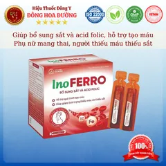 INO FERRO (hộp 20 ống) - Giúp bổ sung sắt và Acid folic, giảm tình trạng thiếu máu thiếu sắt - ĐÔNG HOA ĐƯỜNG
