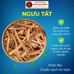 NGƯU TẤT (Hoài Ngưu Tất) Nhập Khẩu Chính Ngạch | Đầy Đủ Giấy Tờ CO CQ COA | Giúp Hoạt Huyết, Hỗ Trợ Xương Khớp