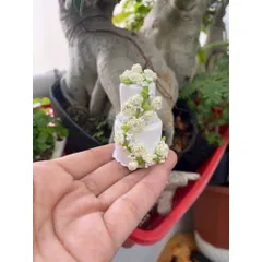 bánh kem 2 tầng