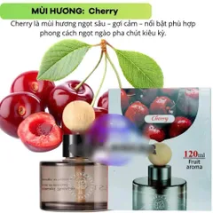 Nước hoa BUSHINECO Home Perfume 120ml – Nước Hoa Ô tô / Phòng Hương Tự Nhiên Pháp (Loại Tốt) (P134827)