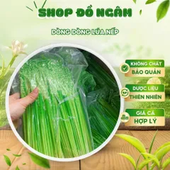 Đòng đòng lúa nếp hút chân không, Đòng tươi ngâm tửu nguyên liệu tự nhiên hương vị truyền thống