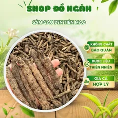 Sâm Cau Đen Tiên Mao Khô Tự Nhiên, Thảo Dược Rừng Tây Bắc, Ngâm Tửu Bổ Dưỡng
