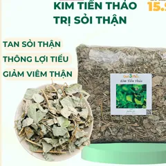 Kim tiền thảo khô 1kg cây mắt trâu khô hỗ trợ lợi tiểu, hỗ trợ sỏi thận, sỏi tiết niệu Thảo Mộc Búp Xanh