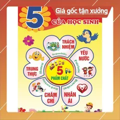 Tờ giấy  trang trí 5 phẩm chất kích thước a3 30cm x 40cm ép plastics có keo dán