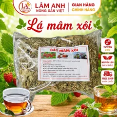 1Kg Mâm Xôi Rừng (Sao Vàng Hạ Thổ) Làm Dầy Niêm Mạc, Bổ Trứng, Đẹp Da, Vị Thảo Mộc Thanh Dịu – Pha Trà Hằng Ngày