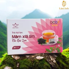 Trà Túi Lọc Mâm Xôi Tím Cà Gai Leo BẢO HIỆU – Trà Thảo Mộc Thiên Nhiên, Dễ Uống, Thanh Lọc, Giải Nhiệt, Đẹp Da, Đẹp Dáng