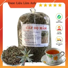 1Kg Cây Dòi thân tím (Bọ Mắm, Bọ dòi) Sao vàng hạ thổ, khô, thơm, hỗ trợ ho, phế quản, phổi, viêm sưng vú, đinh nhọt