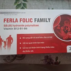 Ống Bổ Sung Sắt FERLA FOLIC FAMILY  - Hộp 20 ống 10ml