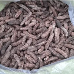 Chuối Hột Rừng Khô Thái Lát - Chuối Hột Rừng Sấy Khô, Loại Đẹp, Hàng Sỉ 5kg 10kg