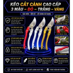 COMBO 3 KÉO CẮT CÀNH 1CT - KÉO TỈA CÂY SIÊU SẮC BÉN LƯỠI THÉP CHỐNG RỈ KÉO TỈA CÂY CẢNH